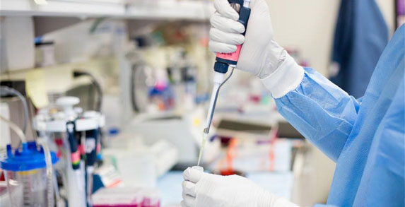 香蕉影视APP環境大香蕉在线播放技術(上海)有限公司